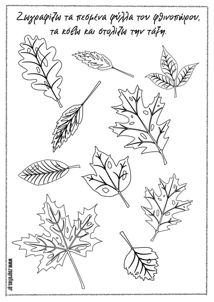 φύλλα δέντρων