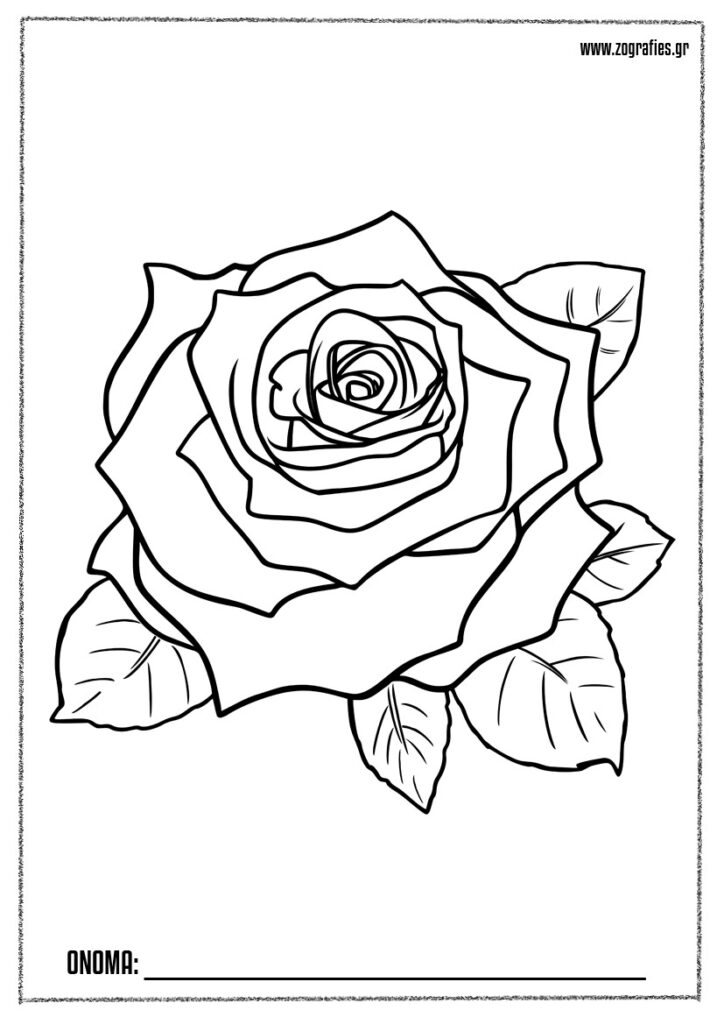 τριαντάφυλλο ζωγραφιά
