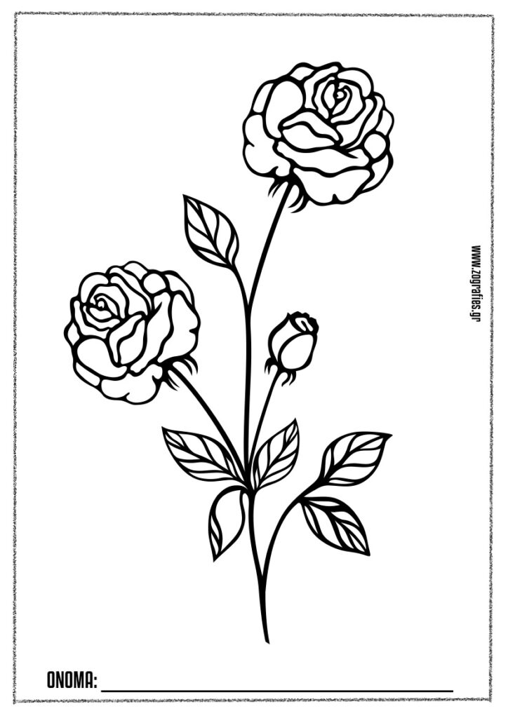 τριαντάφυλλα ζωγραφιά