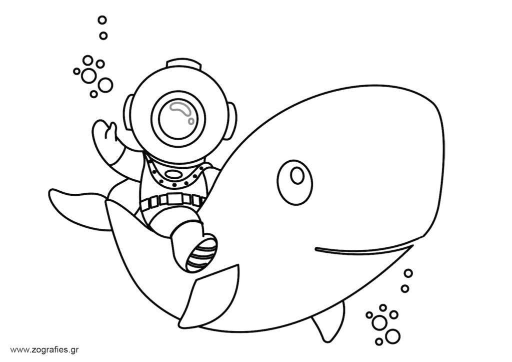 φάλαινα και δύτης