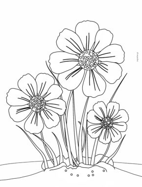 φύλλο εργασίας για ζωγραφική με τρία λουλούδια