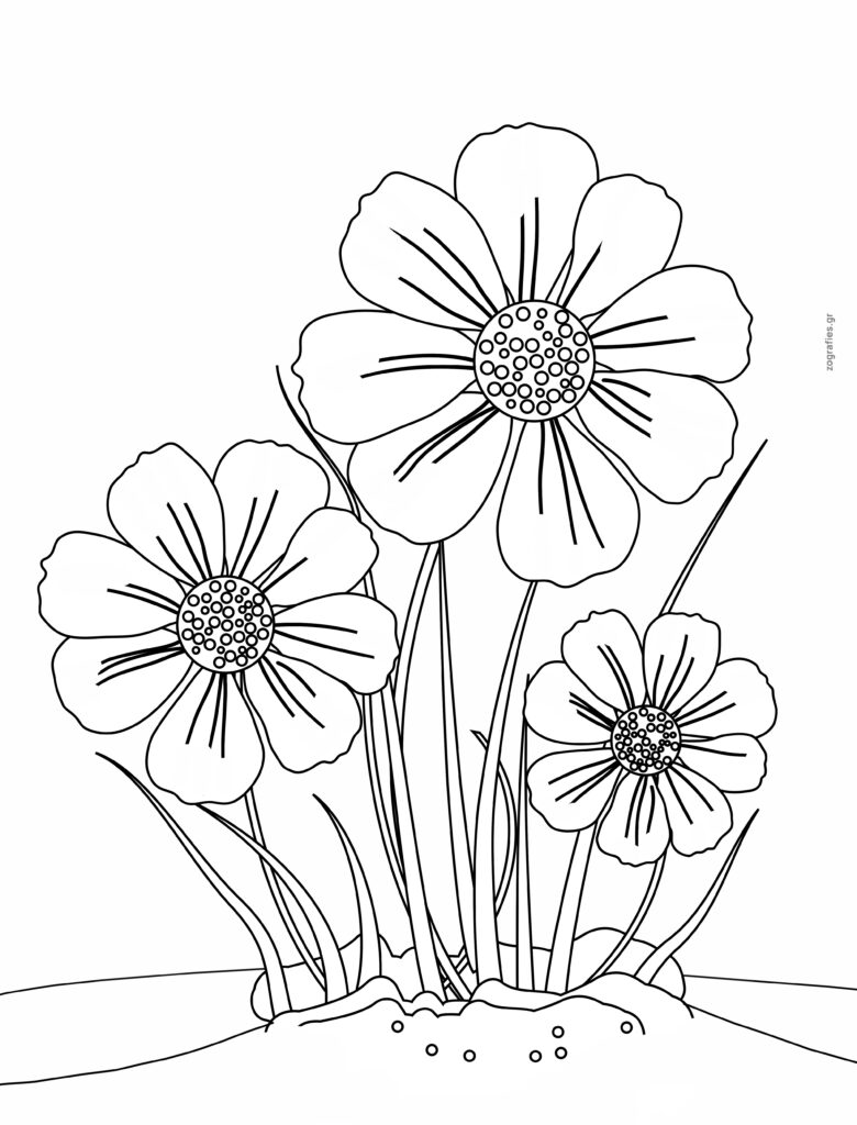 φύλλο εργασίας για ζωγραφική με τρία λουλούδια