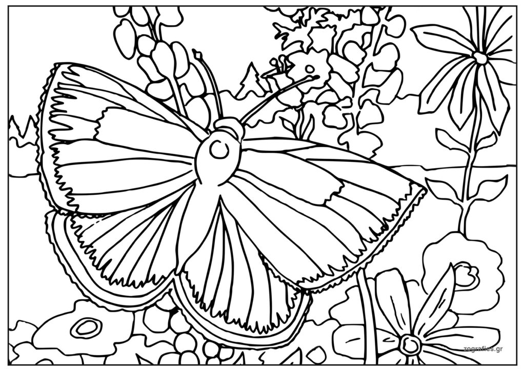 πεταλούδα και λουλούδια