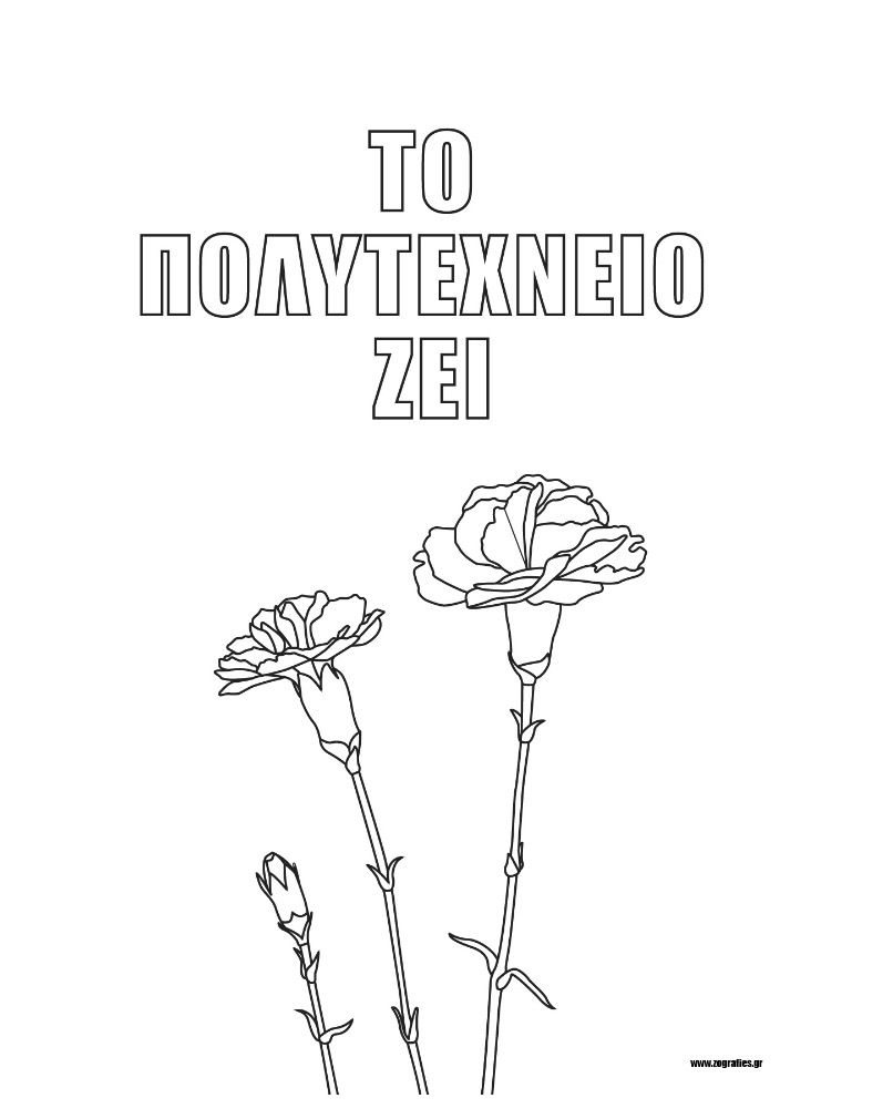 το πολυτεχνείο ζει, γαρύφαλλα