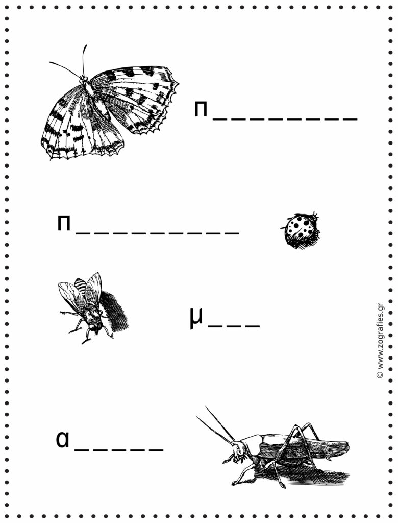 λέξεις, άσκηση, δημοτικό