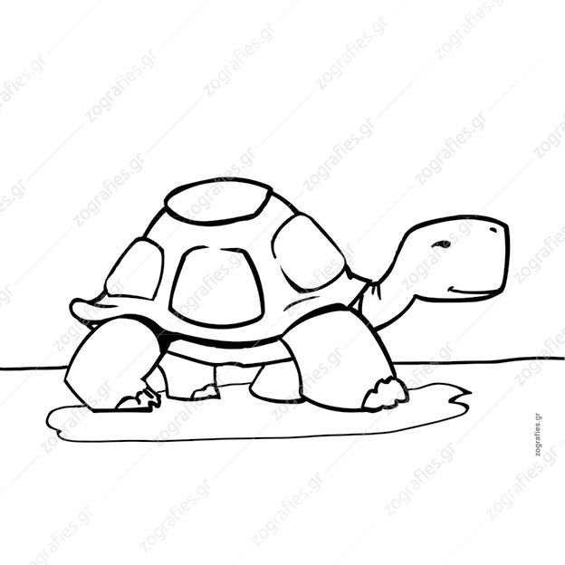 χελόνα ζωγραφιά