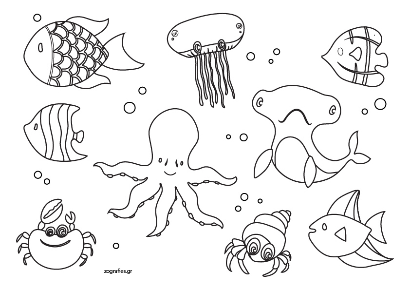 Ζώα της θάλασσας 22 / Ζωγραφική